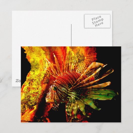 Tropical Lionfish Fotokunst Briefkaart (Voorkant / Achterkant)