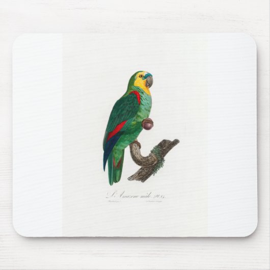 tropical macaw parrot muismat (Voorkant)