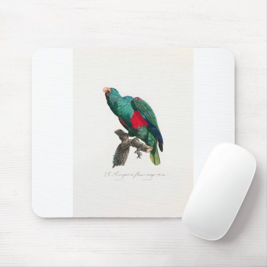 tropical macaw parrot muismat (Met muis)