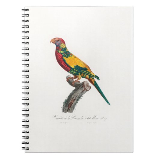 tropical macaw parrot notitieboek (Voorkant)