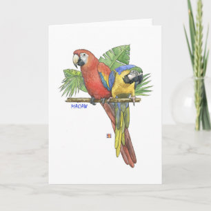 Tropical Macaws Note Kaart