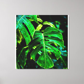 Tropical Monstera Glow – Jungle Leaf Photography Canvas Afdruk