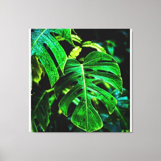 Tropical Monstera Glow – Jungle Leaf Photography Canvas Afdruk (Voorkant)
