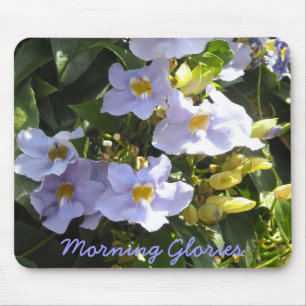 Tropical Morning Glories Muismat