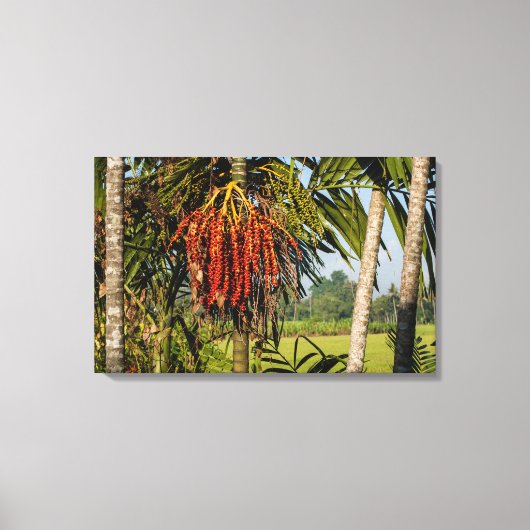 Tropical Palm Fruit Bali - Canvas Wall Art Print (Voorkant)