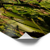 Tropical Palm Fruit Bali Square Art Poster (Hoek)