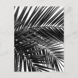 Tropical Palm Leaves - Black and White Photography Briefkaart