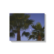 Tropical Palm Tree Wall Art Twilight Coastal