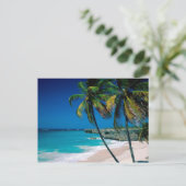 Tropical Paradise Palmtree Beach briefkaart (Staand voorkant)