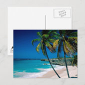 Tropical Paradise Palmtree Beach briefkaart (Voorkant / Achterkant)