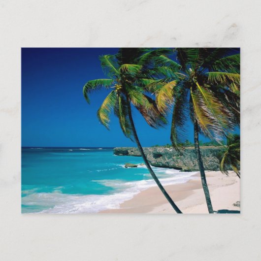 Tropical Paradise Palmtree Beach briefkaart (Voorkant)