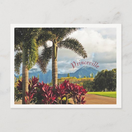 "Tropical Paradise"/Princeville, Kauai Briefkaart (Voorkant)