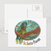 Tropical Parrot of St Lucia Briefkaart (Voorkant / Achterkant)