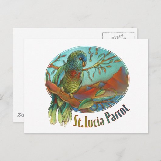 Tropical Parrot of St Lucia Briefkaart (Voorkant / Achterkant)