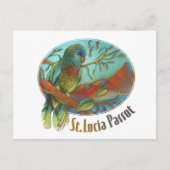 Tropical Parrot of St Lucia Briefkaart (Voorkant)