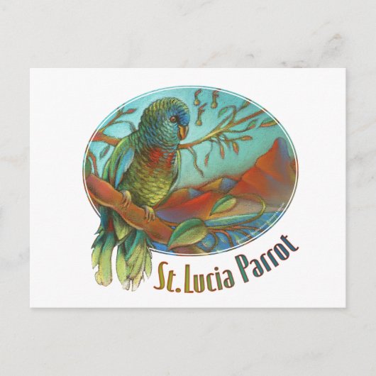 Tropical Parrot of St Lucia Briefkaart (Voorkant)
