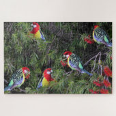 Tropical Parrots Eastern Rosella Birds Legpuzzel (Horizontaal)