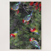 Tropical Parrots Eastern Rosella Birds Legpuzzel (Verticaal)