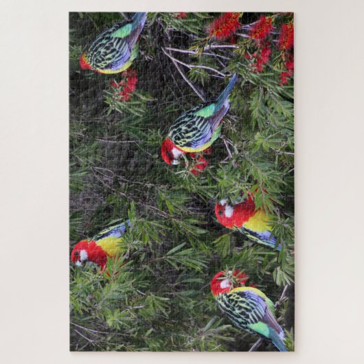 Tropical Parrots Eastern Rosella Birds Legpuzzel (Verticaal)