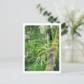 Tropical Plants at El Yunque National Rainforest Briefkaart (Staand voorkant)
