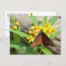 Tropical Queen Butterfly, FL - briefkaart