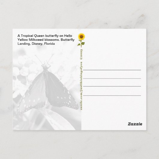 Tropical Queen Butterfly, FL - briefkaart (Achterkant)