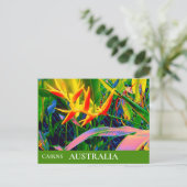 Tropical Queensland Australia vintage Briefkaart (Staand voorkant)