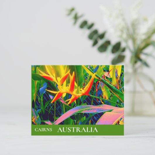 Tropical Queensland Australia vintage Briefkaart (Staand voorkant)