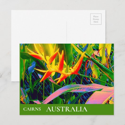 Tropical Queensland Australia vintage Briefkaart (Voorkant / Achterkant)