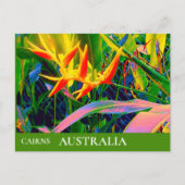 Tropical Queensland Australia vintage Briefkaart (Voorkant)
