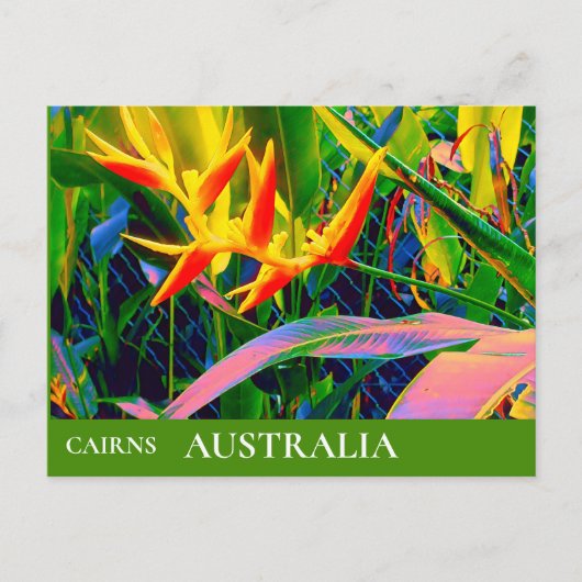 Tropical Queensland Australia vintage Briefkaart (Voorkant)