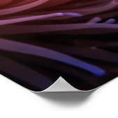 Tropical Reef Full of Marine Life Poster (Hoek)