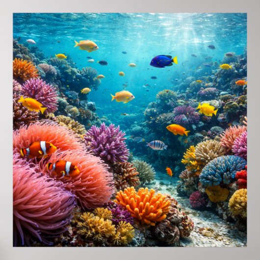Tropical Reef Full of Marine Life Poster (Voorkant)