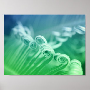 Tropical Sago Palm Tree Natuur Kunstfotografie Poster