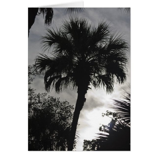 Tropical Silhouette (Voorkant)