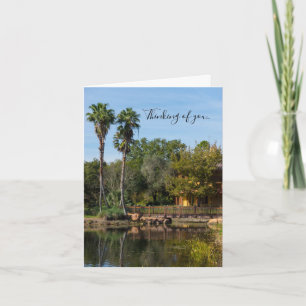 Tropical Springs Paradise Denken aan jou Kaart