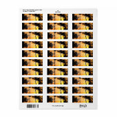 Tropical Sunset Mailing Label (Full Sheet)