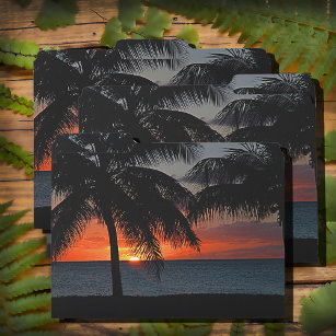 Tropical Sunset Palm Trees Zee USVI Caribisch gebi Documentenmap