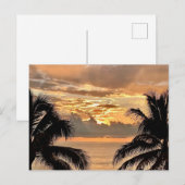 Tropical Sunset Puerto Vallarta Briefkaart (Voorkant / Achterkant)