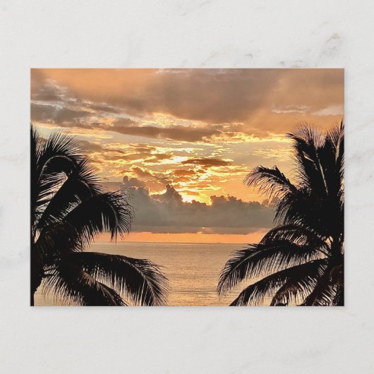 Tropical Sunset Puerto Vallarta Briefkaart (Voorkant)