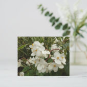 Tropical White Begonia Floral Briefkaart (Staand voorkant)
