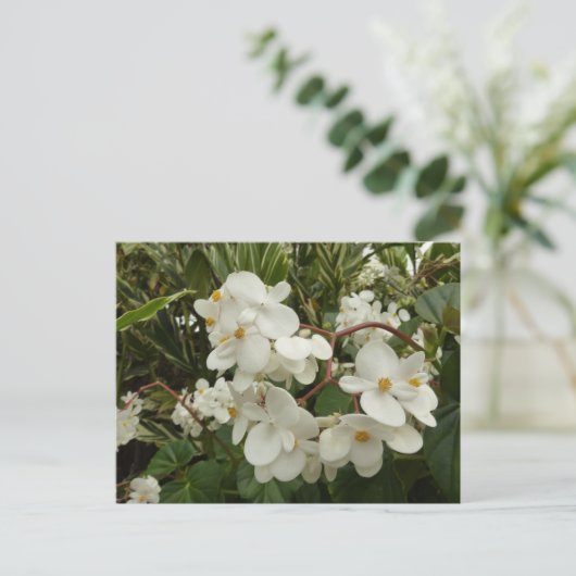 Tropical White Begonia Floral Briefkaart (Staand voorkant)