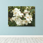 Tropical White Begonia Floral Canvas Afdruk (Insitu (Houten vloer))