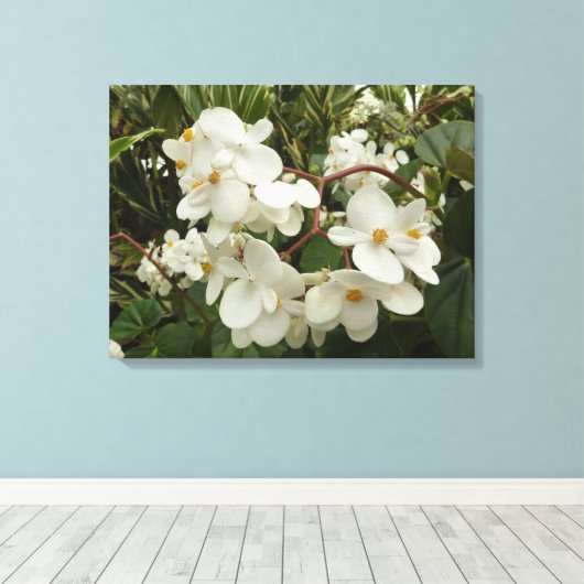 Tropical White Begonia Floral Canvas Afdruk (Insitu (Houten vloer))