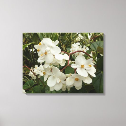 Tropical White Begonia Floral Canvas Afdruk (Voorkant)