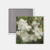 Tropical White Begonia Floral Magneet (Voorkant / Achterkant)