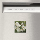 Tropical White Begonia Floral Magneet (Insitu (Vaatwasser))