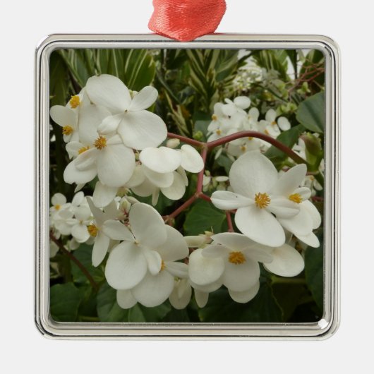 Tropical White Begonia Floral Metalen Ornament (Voorkant)