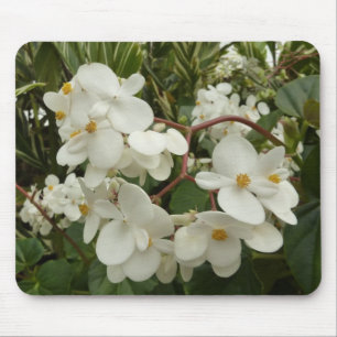 Tropical White Begonia Floral Muismat