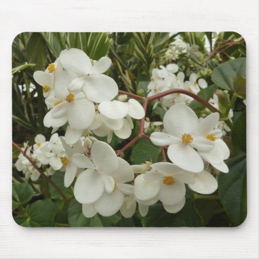 Tropical White Begonia Floral Muismat (Voorkant)